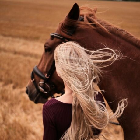 Día del Caballo: Las Raíces de Jerez