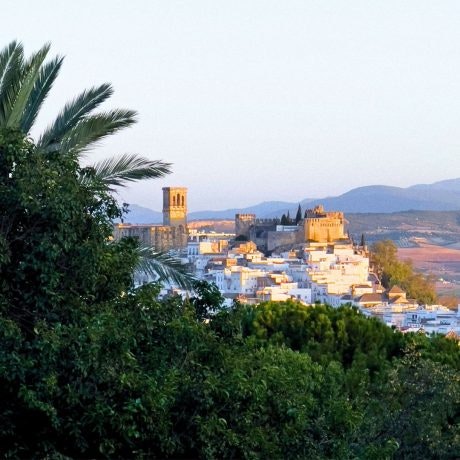 5 destinos en los alrededores de Jerez para disfrutar de la primavera